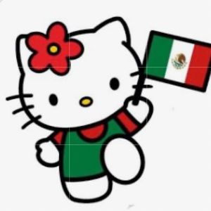 Meet your Posher, Santiago